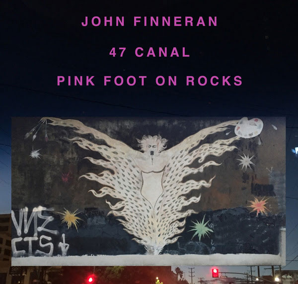 Pink Foot on Rocks